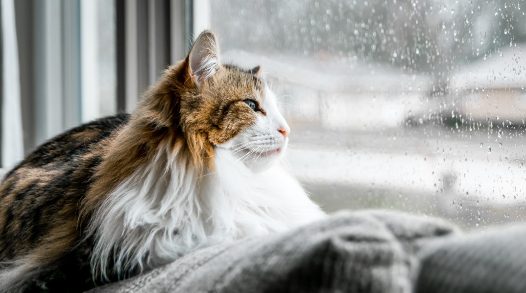 Ο καιρός σήμερα, Σάββατο 14 Ιανουαρίου: Βροχές και σποραδικές καταιγίδες - Αναλυτική πρόγνωση από το meteo και την Εθνική Μετεωρολογική Υπηρεσία.