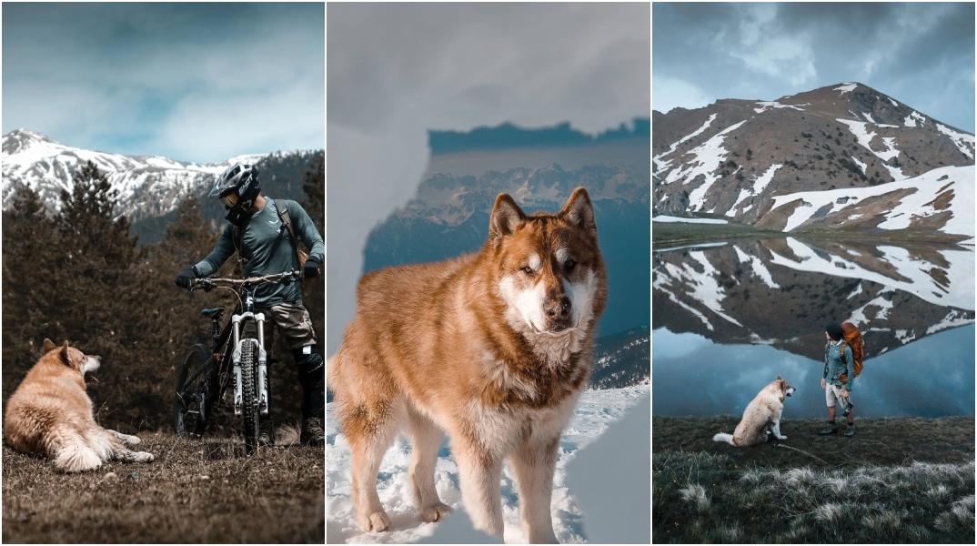 Έκτορας, η μασκότ του ορειβατικού ξενώνα «Munti Smolikas»