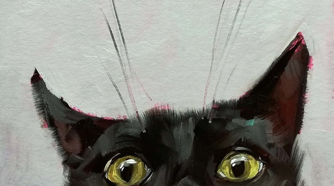 Οι γάτες, η ομορφιά τους, η έμπνευση και η επικαιρότητα, που κάποιες φορές μπορεί να περιμένει.