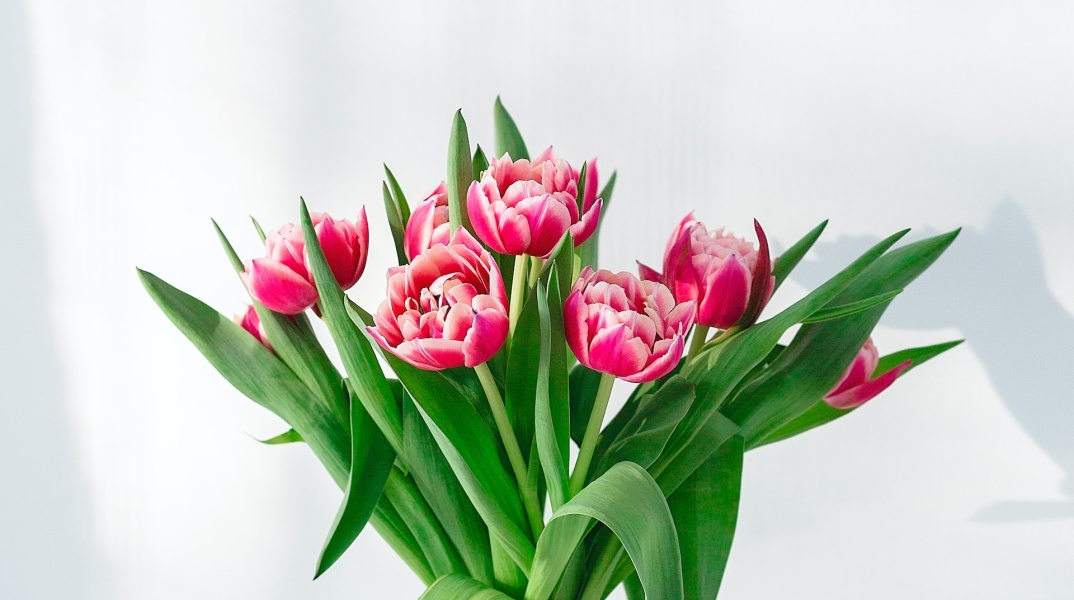 Μπουκέτο με λουλούδια