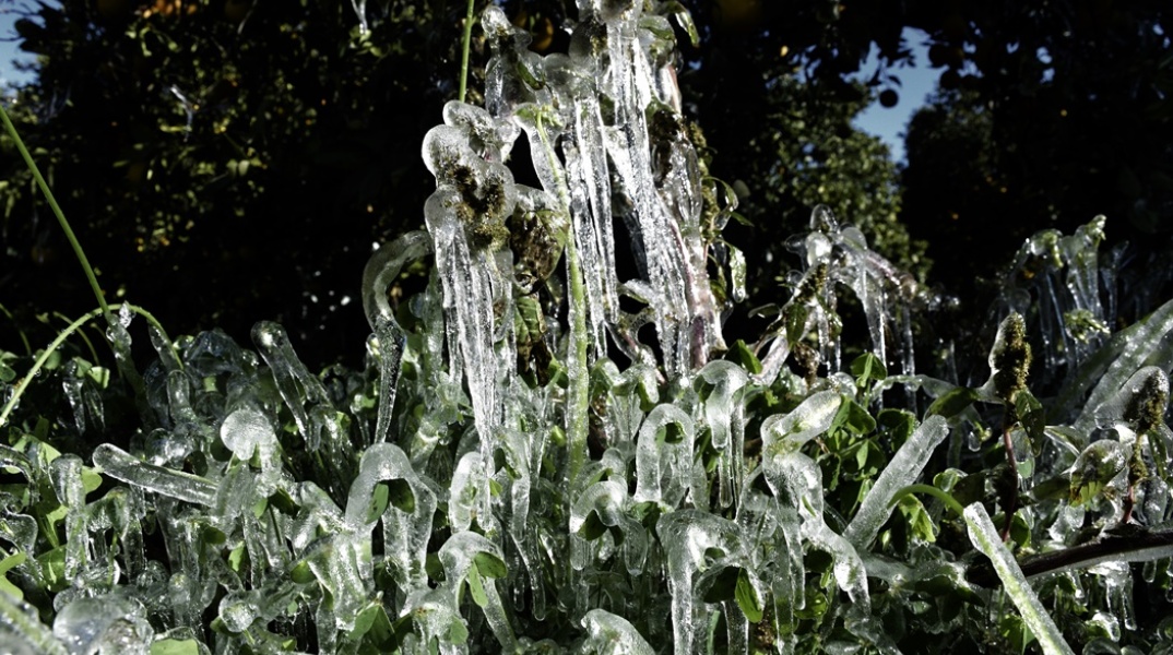 Παγετός και πάγος στα κλαδιά και τα φύλλα δέντρου