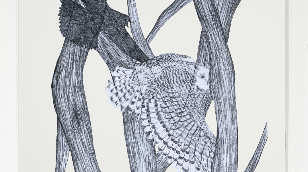 Αλεξία Ιμάνο Μαρούλη, "The predator"