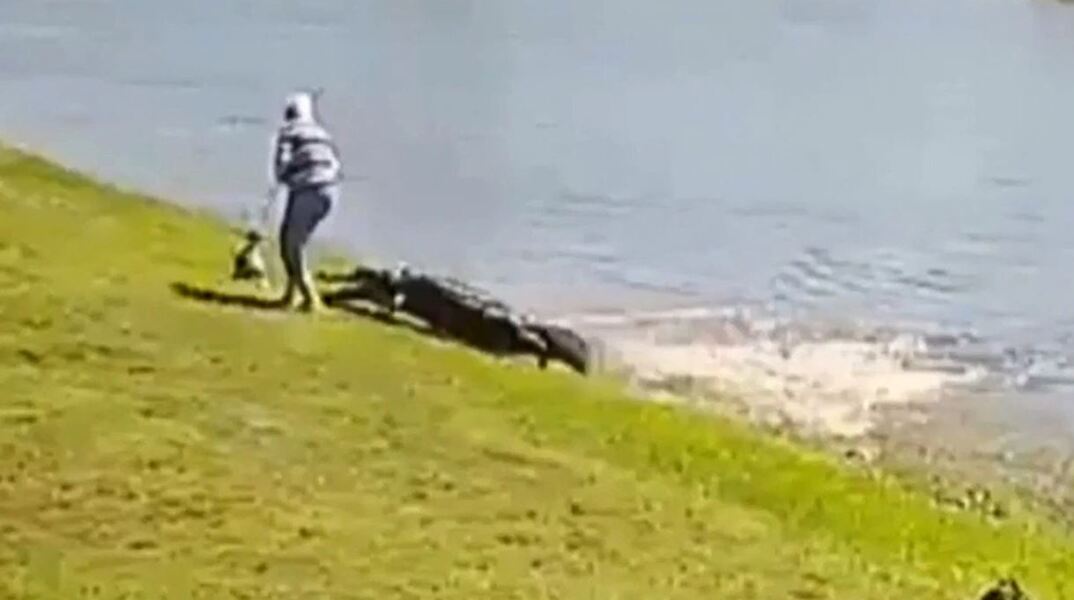 «Θεέ μου, την έπιασε», η στιγμή της θανατηφόρας επίθεσης αλιγάτορα σε 85χρονη στη Φλόριντα