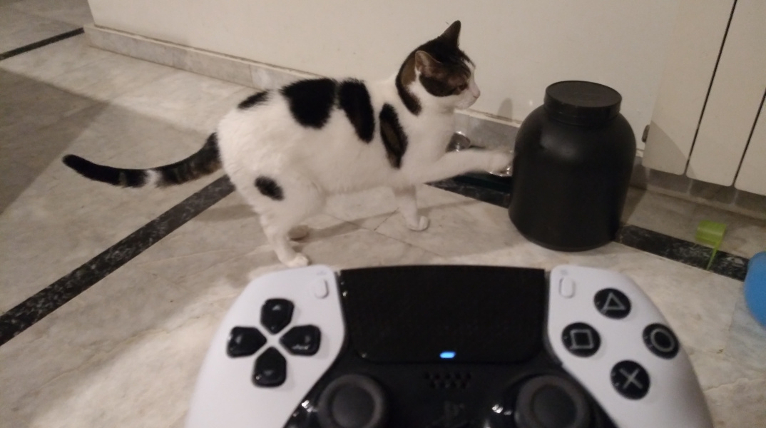 Οι γάτες και τα videogames έχουν ένα κοινό: τη χαρά του να πασχίζουμε να επικοινωνήσουμε μαζί τους