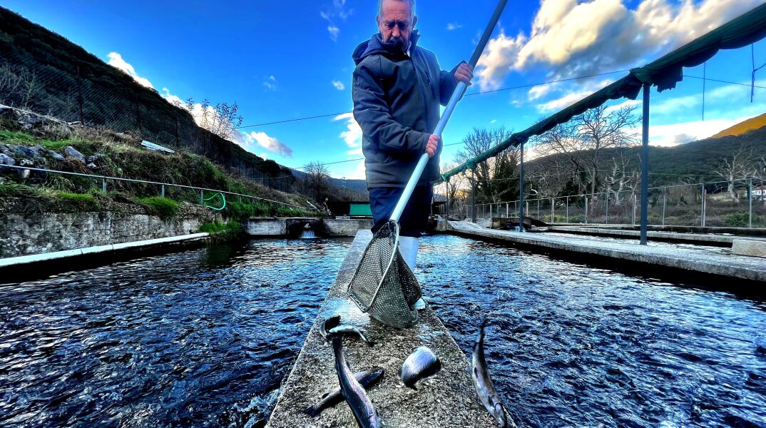 Karatzenis smoked fish