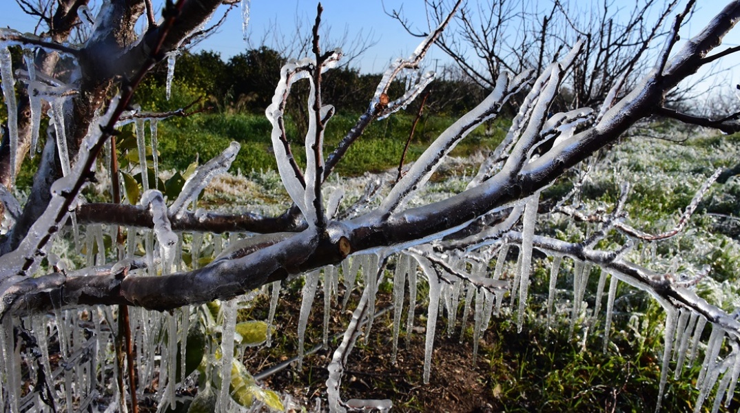 Παγετός και πάγος στα κλαδιά δέντρου