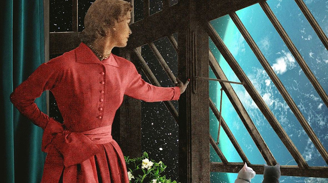 «Cats in Orbit». Γιάννης Ρουσάκης