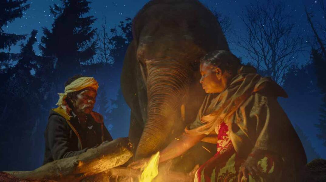 «Γητευτές ελεφάντων» στο Netflix: Το ινδικό ντοκιμαντέρ για τον ακατάλυτο δεσμό ανάμεσα σε δύο ανθρώπους, και δύο νεαρούς ελέφαντες.