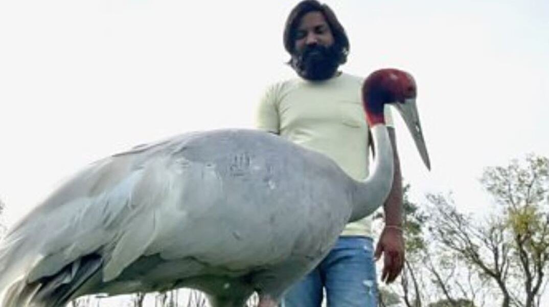 Ινδός έσωσε τραυματισμένο γερανό και έγιναν αχώριστοι φίλοι