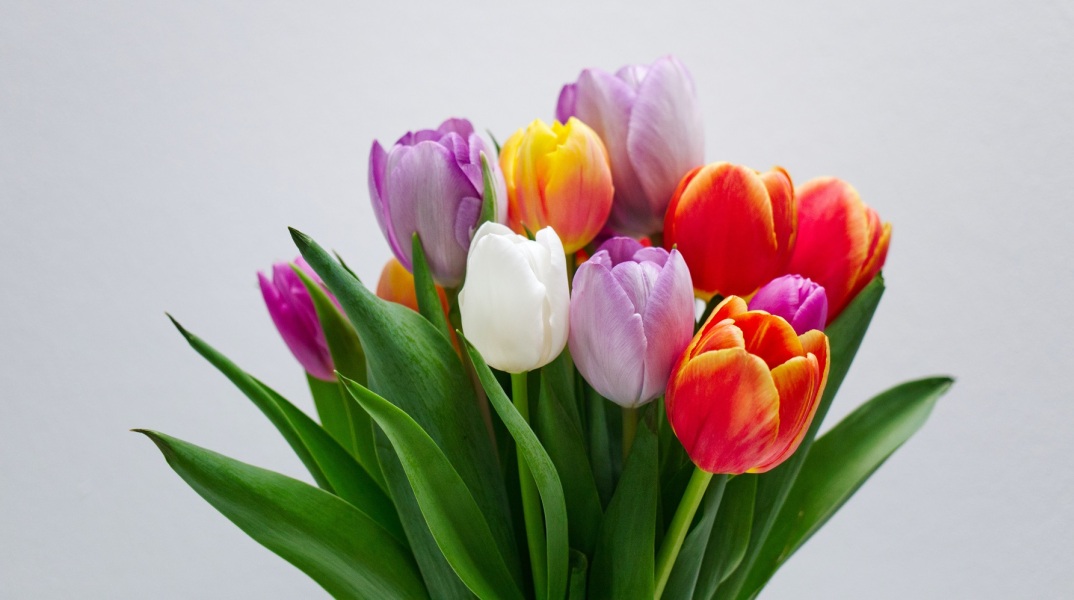 Ποιοι γιορτάζουν σήμερα 19 Μαρτίου; Το εορτολόγιο της Athens Voice σου τους θυμίζει. Μην ξεχάσεις να τους δώσεις τις καλύτερες ευχές σου!