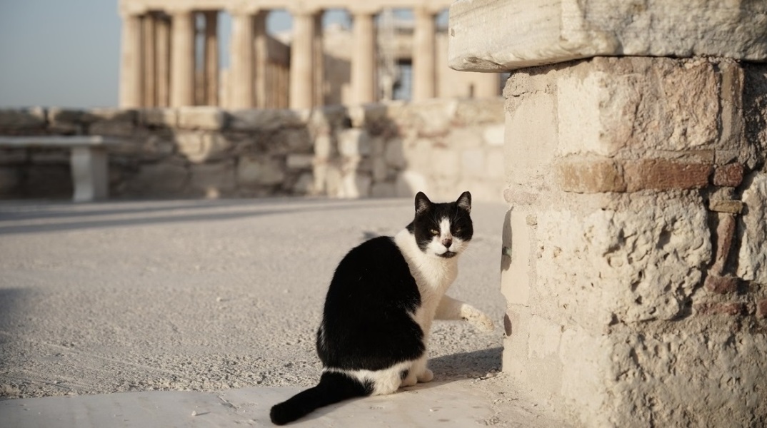 Ο καιρός σήμερα, Κυριακή 19 Μαρτίου: Βελτίωση, με ηλιοφάνεια και άνοδο θερμοκρασίας - Η πρόγνωση του Meteo και της Εθνικής Μετεωρολογικής Υπηρεσίας.