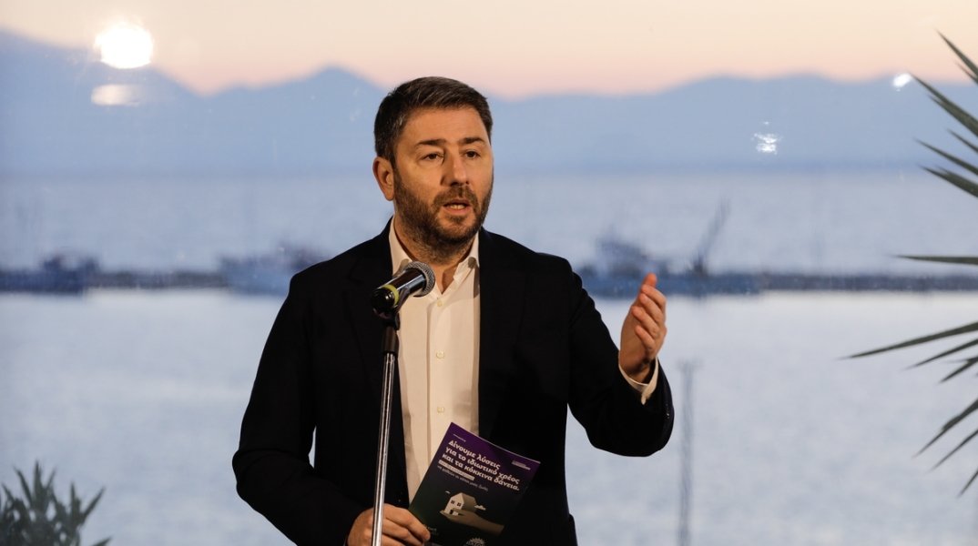 Οι πραγματικές προθέσεις του Νίκου Ανδρουλάκη