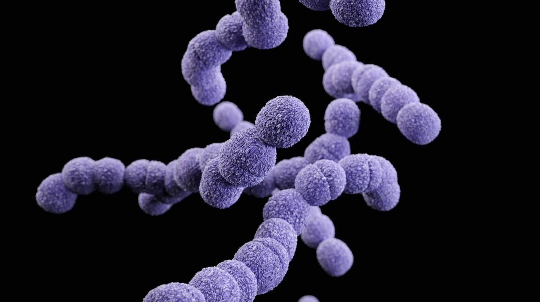 Στρεπτόκοκκος Α