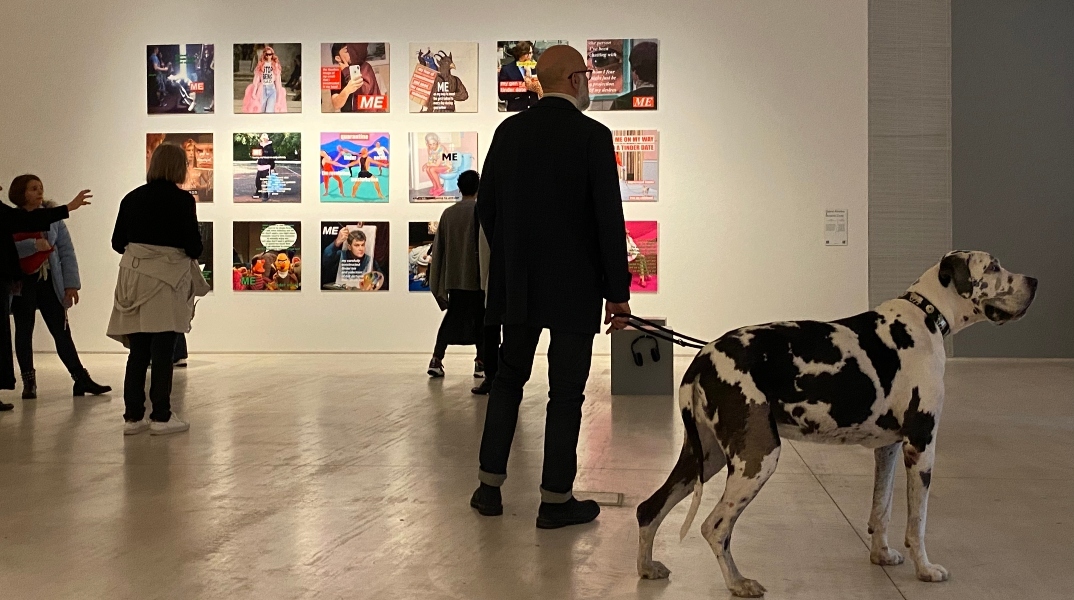 Παγκόσμια Ημέρα Αδέσποτων ζώων στο ΕΜΣΤ