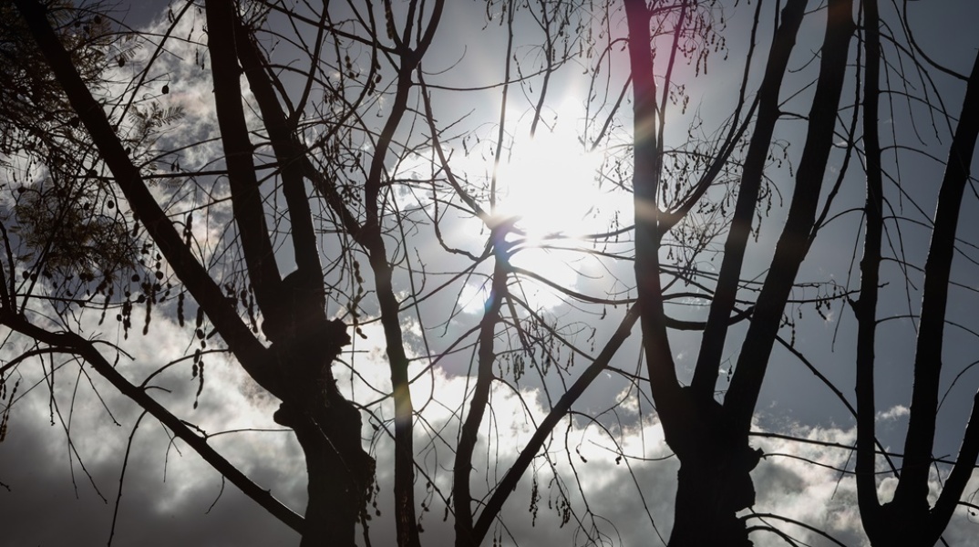 Συννεφιά και λιγοστές ακτίνες του ήλιου πίσω από κλαδιά δέντρου θυμίζουν φθινοπωρινό σκηνικό καιρού