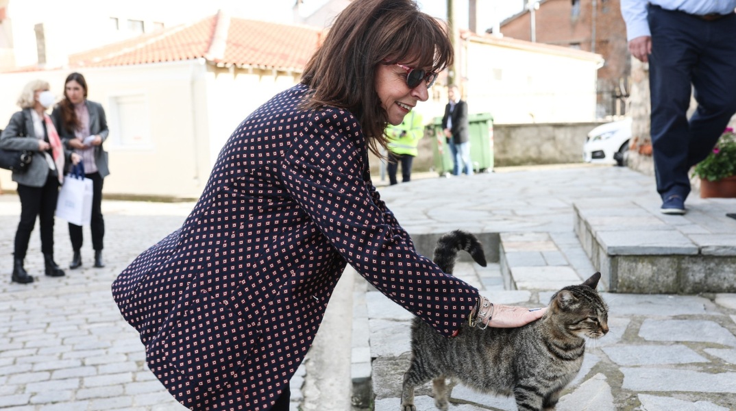 Κατερίνα Σακελλαροπούλου: Η ΠτΔ αναφέρθηκε στην Παγκόσμια Ημέρα Αδέσποτων Zώων - Ανάγκη να τους δείχνουμε καθημερινά το ενδιαφέρον και τον σεβασμό μας.