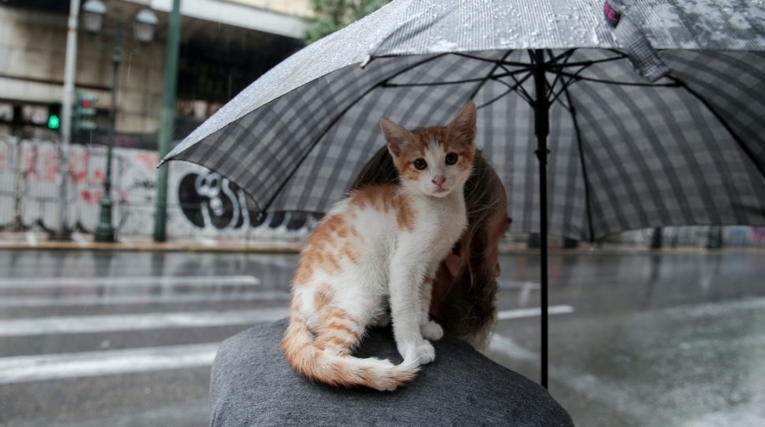 Ο καιρός σήμερα, Κυριακή των Βαΐων, 9 Απριλίου - Αναλυτική πρόγνωση για όλη την Ελλάδα από την ΕΜΥ - Η πρόβλεψη για τη Μεγάλη Εβδομάδα.
