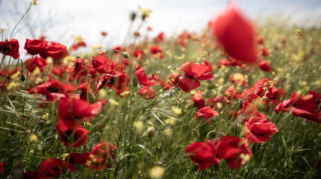 Πρόγνωση καιρού - Μεγάλη Παρασκευή: Νεφώσεις, τοπικές βροχές και καταιγίδες σε αρκετές περιοχές της χώρας - Ο καιρός τις μέρες του Πάσχα από το meteo και την ΕΜΥ