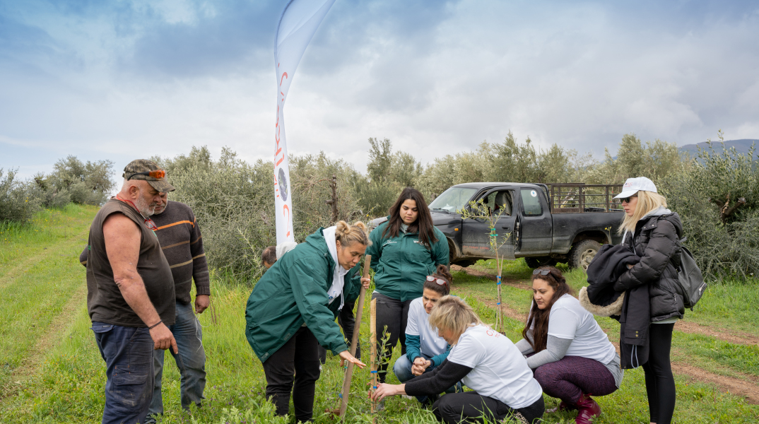 δενδροφύτευση 