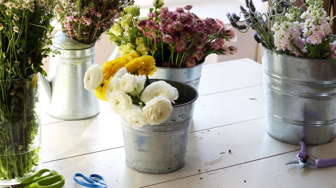 nature-blossom-plant-white-texture-leaf-1074251-pxhere_com