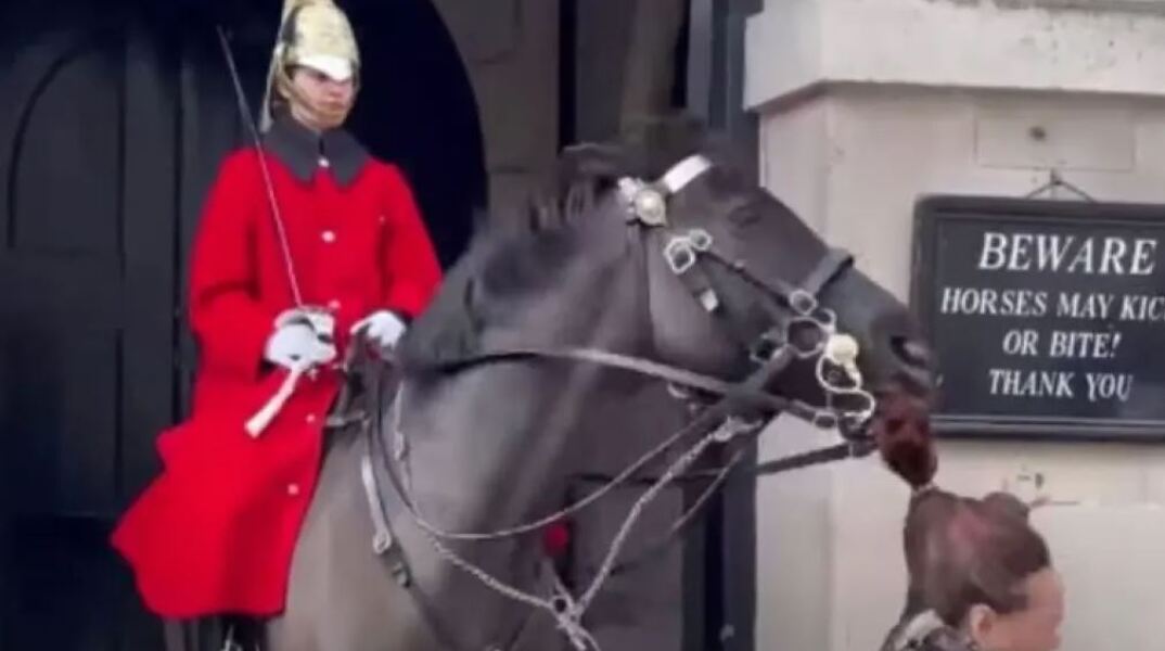Viral έγινε το άλογο της βασιλικής φρουράς που δάγκωσε την κοτσίδα τουρίστριας