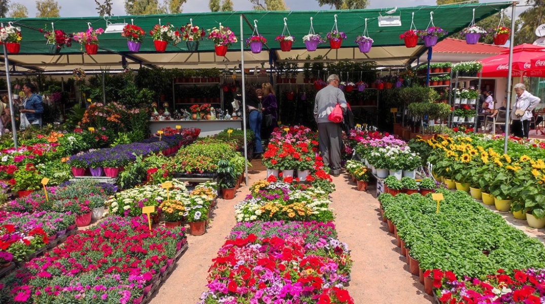 Λουλούδια παραταγμένα στη Νέα Σμύρνη