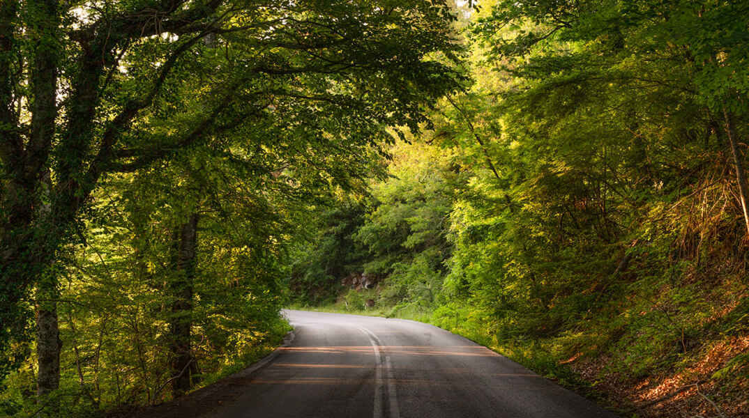 Φωτογραφία δρόμου με πράσινα δέντρα δεξιά και αριστερά