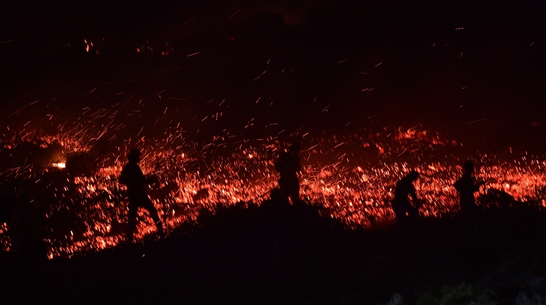 Δασική Πυρκαγιά