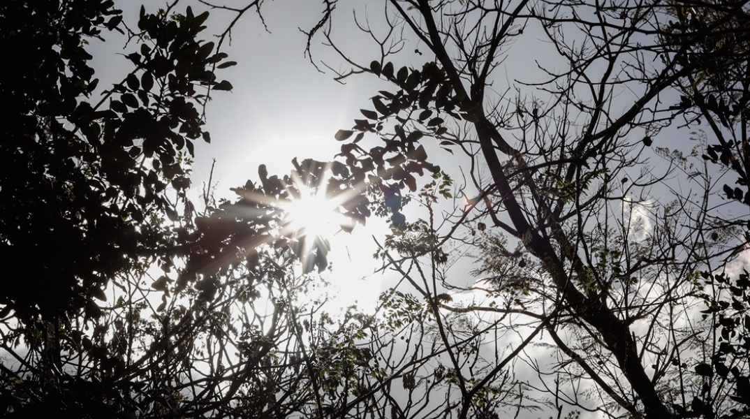 Ακτίνες του ήλιου διακρίνονται πίσω από τα φύλλα δέντρων παραπέμποντας στη φράση «ήλιος με δόντια»