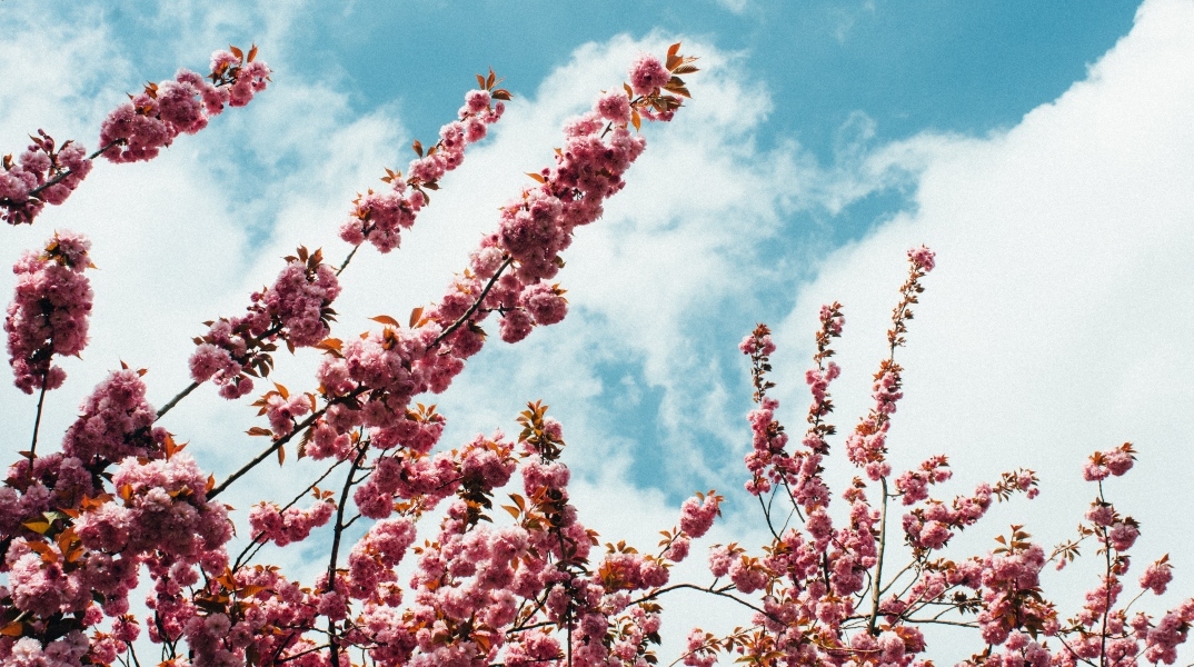 Εορτολόγιο
