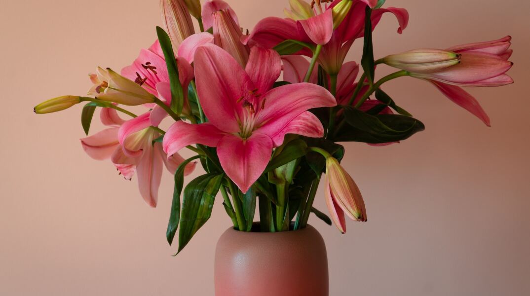 Λίγα λουλούδια σε γλαστράκι για τους εορτάζοντες σήμερα