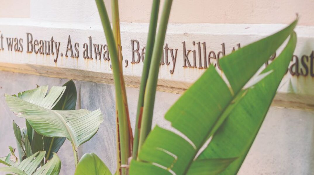 BEAUTY KILLED THE BEAST