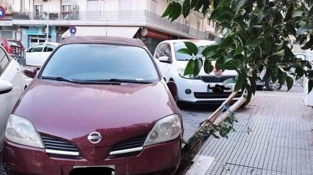 Μηνυτήρια αναφορά κατέθεσε ο δήμος Θεσσαλονίκης σε βάρος ασυνείδητου οδηγού που πάρκαρε το αυτοκίνητο του σε δενδροδόχο, προκαλώντας σοβαρές φθορές.