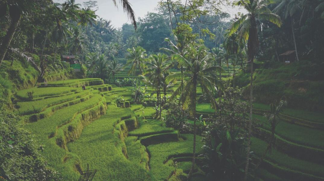 Μια ιστορία για τη βιώσιμη επιχειρηματικότητα