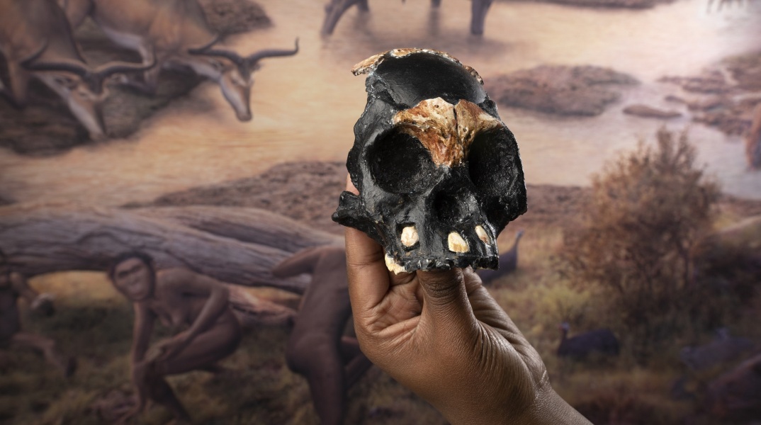 Νότια Αφρική: Ο παλαιοντολόγος Λι Μπέργκερ υποστηρίζει ότι ανακάλυψε ταφές παλαιότερες κατά τουλάχιστον 100.000 έτη από εκείνες του Homo sapiens.