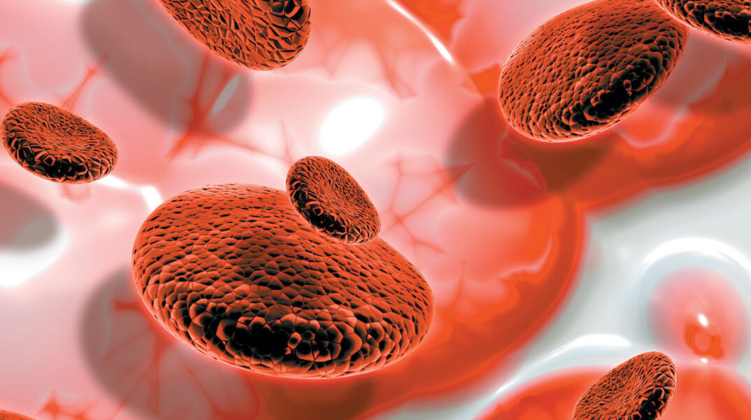 blood cells 