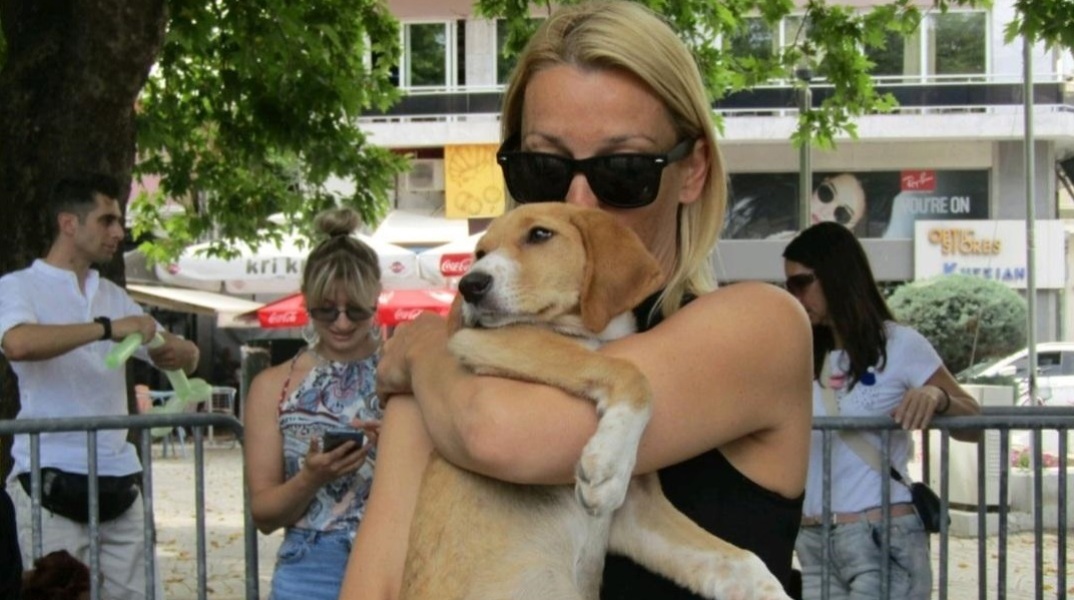 Κομοτηνή: Αδέσποτα κουταβάκια που ζητούν μια ζεστή αγκαλιά συγκεντρώθηκαν στην κεντρική πλατεία - Το θέμα των στειρώσεων και ο «φαύλος κύκλος» της εγκατάλειψης.