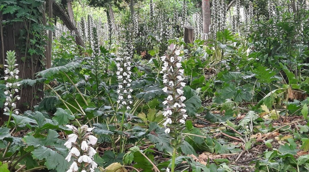 Από το Πεδίον του Άρεως στη Φωκίωνος Νέγρη: Η προσωπική διαδρομή του Κωνσταντίνου Ματσούκα 