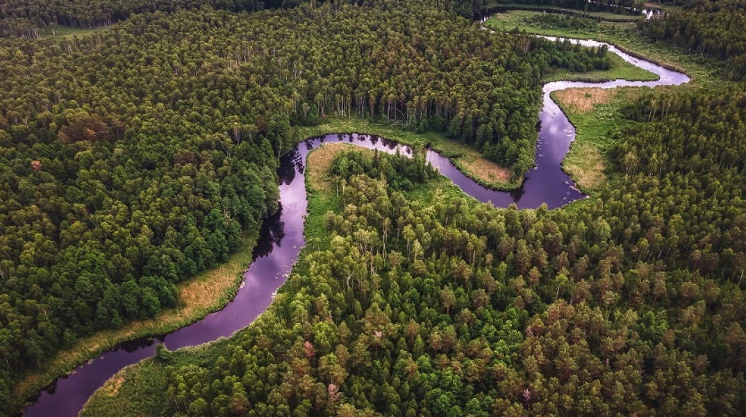 Κλιματική αλλαγή: Ο πλανήτης έχανε το 2022 μια επιφάνεια τροπικού δάσους ίση με ένα γήπεδο ποδοσφαίρου κάθε 5 δευτερόλεπτα - Οι πλέον πληγείσες χώρες.