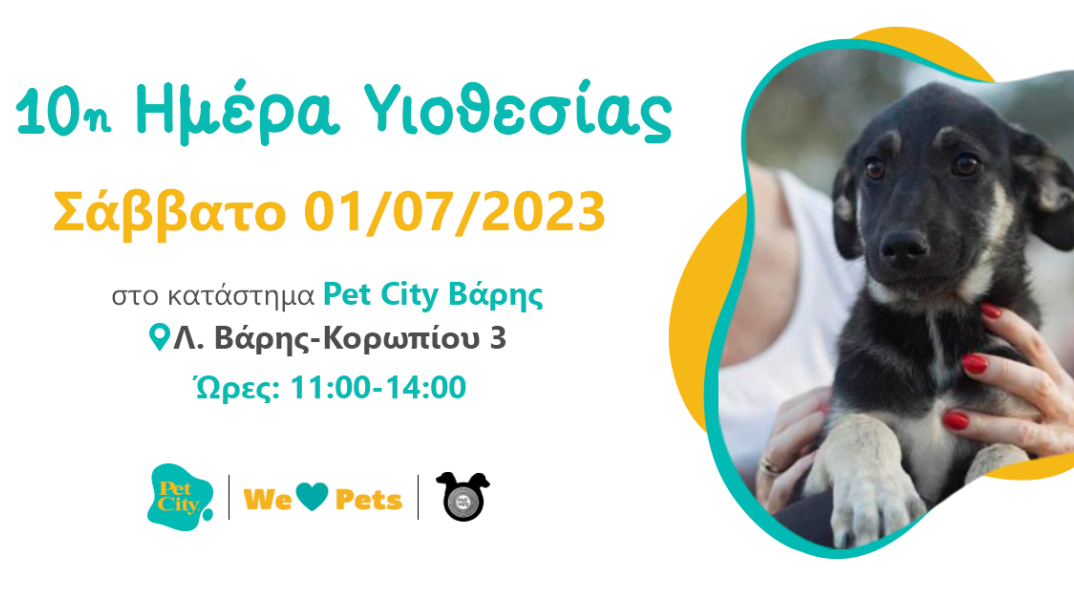 2023_06_27_10th_adoption_day_vari_2