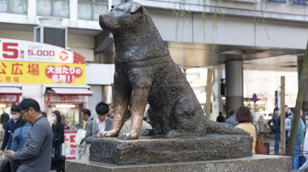 Hachiko