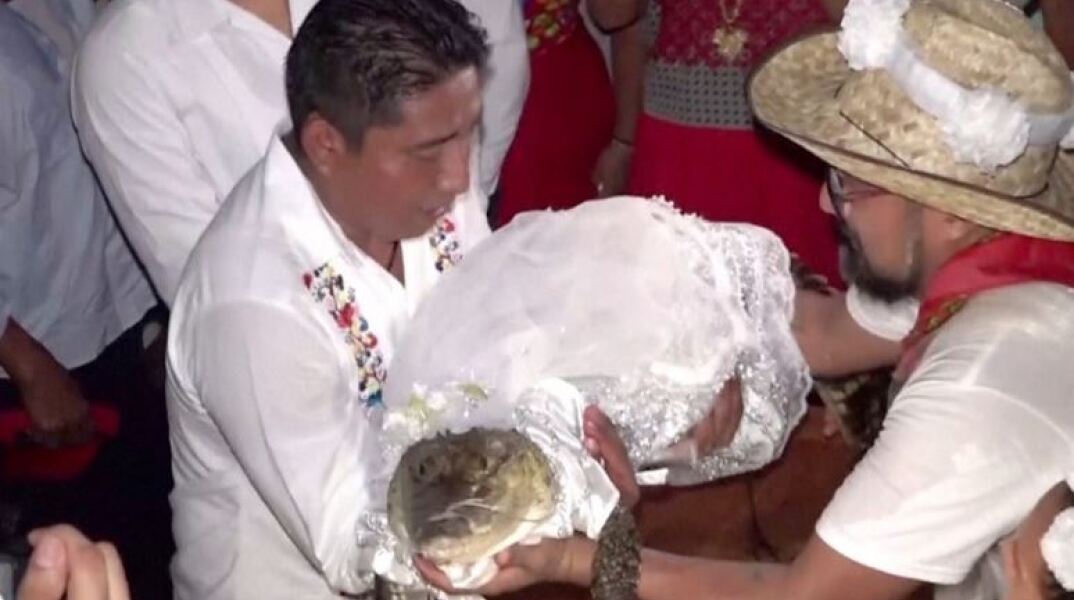 Μεξικό: Viral ο δήμαρχος που παντρεύτηκε κροκόδειλο