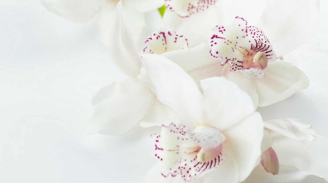 Ποιοι γιορτάζουν σήμερα 5 Ιουλίου; Το εορτολόγιο της Athens Voice σου τους θυμίζει. Μην ξεχάσεις να τους δώσεις τις καλύτερες ευχές σου!