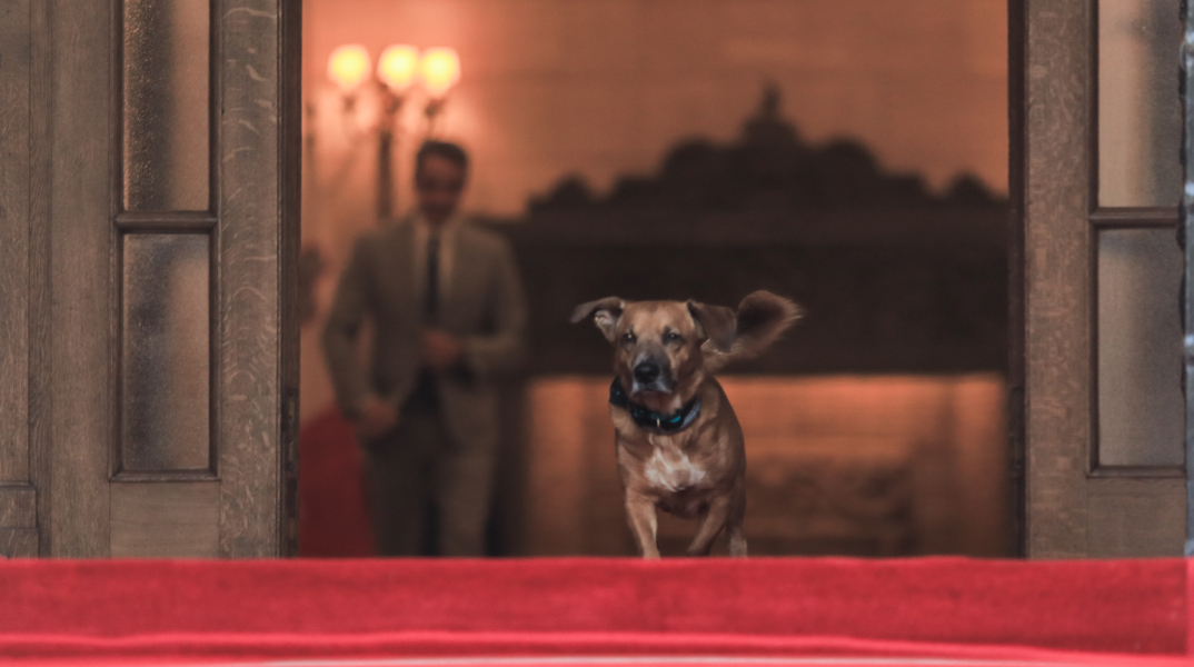 Ο Πίνατ έκλεψε την παράσταση στο περιθώριο της συνέντευξης Μητσοτάκη στο Bloomberg