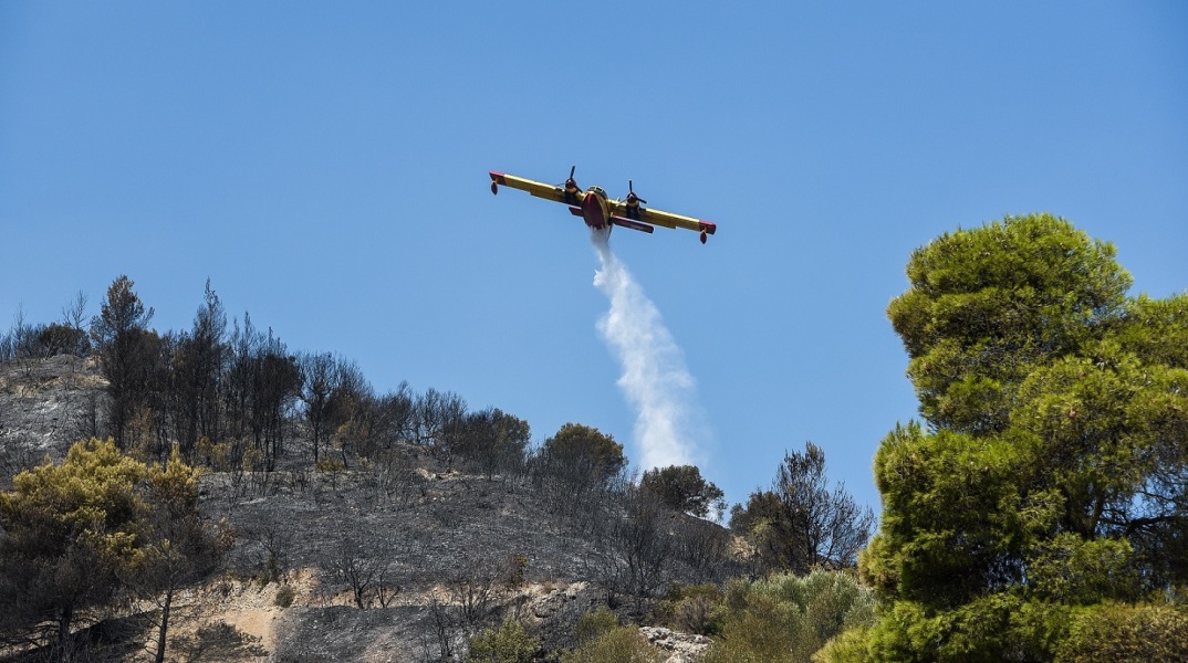Πυρκαγιά σε δασική έκταση στην Μεγάλη Λάκκα στο Καρλόβασι Σάμου - Έχει τεθεί υπό μερικό έλεγχο - Στο σημείο επιχειρούν 24 πυροσβέστες.
