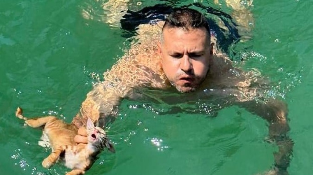 Διάσωση για γατάκι από πλήρωμα ferry boat στη Σαλαμίνα