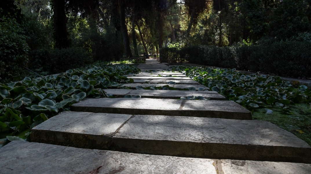 Σκαλοπάτια πάρκου