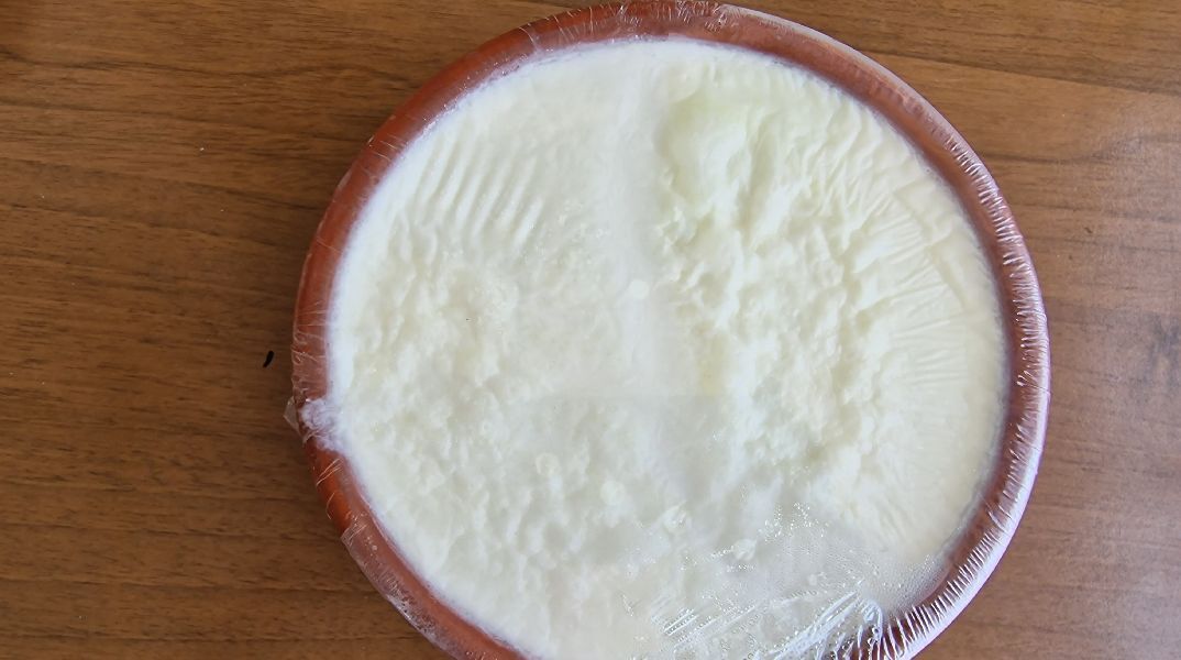 Γαλακτοπωλείο Δάφνη