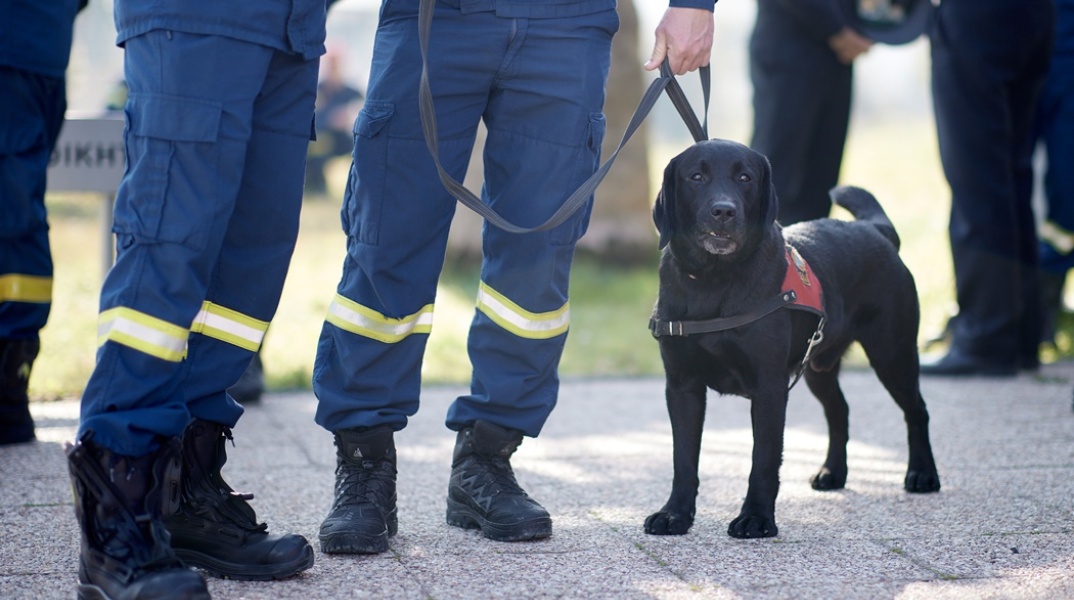 Έρευνες με σκύλο από την ΕΜΑΚ για αγνοούμενο