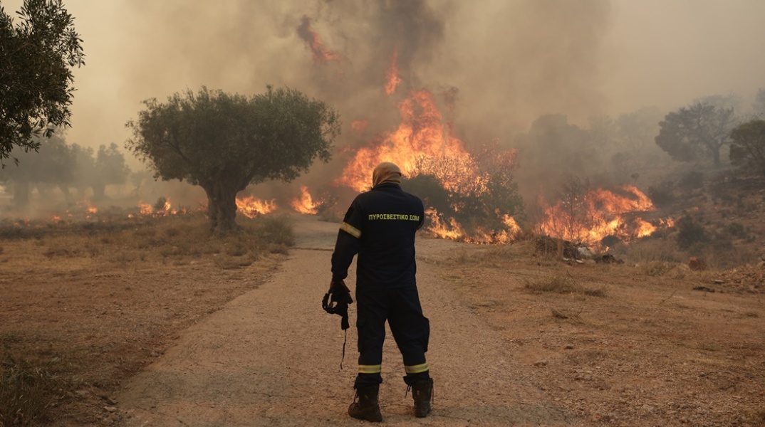 Πυροσβέστης με γυρισμένη την πλάτη στον φωτογραφικό φακό - Μπροστά του οι φωτιές καίνε χαμηλή βλάστηση